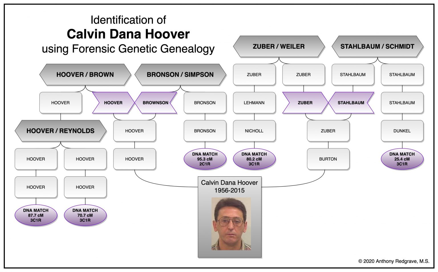 Calvin-Hoover-Dendrograph-Page-2-1536x955.jpg